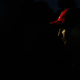 Illustration for article titled Pictures from the 2011 Indian Grand Prix